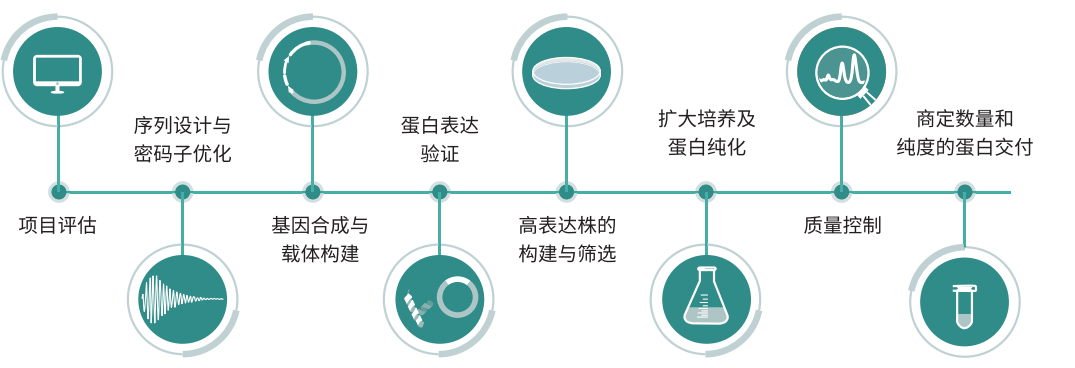 人全長(zhǎng)重組膠原蛋白服務(wù)流程